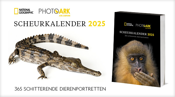 Product banner afbeelding