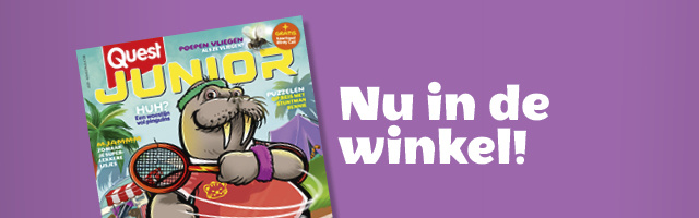 Product banner afbeelding