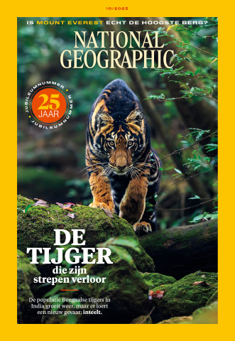cover ngm
