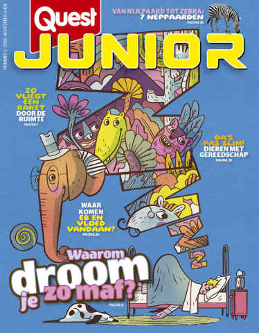 Quest Junior 