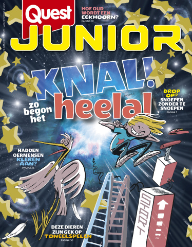 Cover Quest Junior