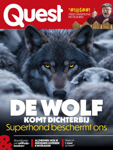 Cover Quest
