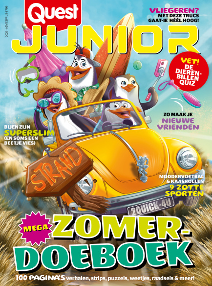 cover zomerboek 